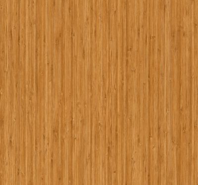 M100 BAMBU